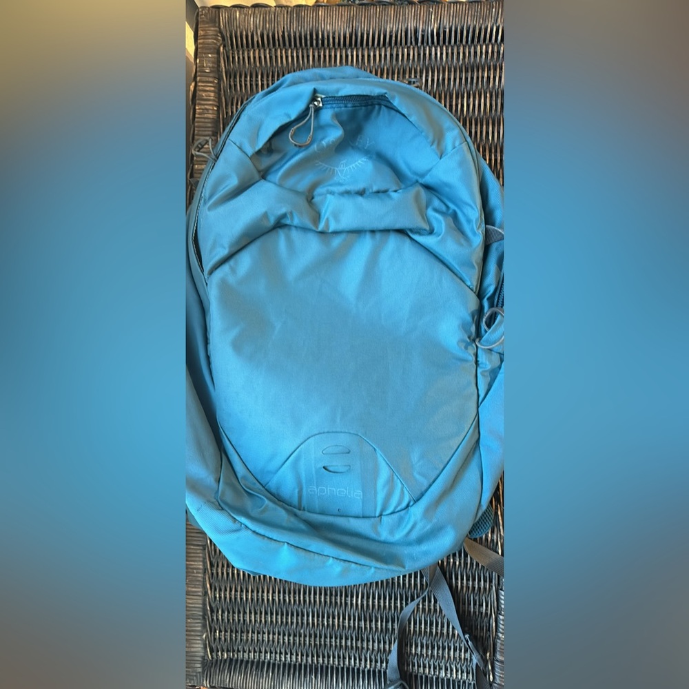 Osprey Blue Backpack